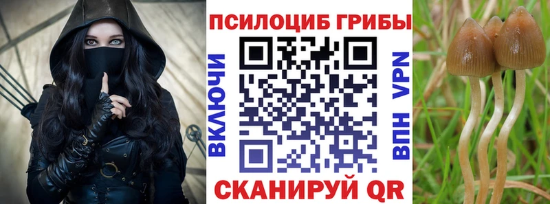 kraken маркетплейс  Игра  Галлюциногенные грибы Magic Shrooms  где найти наркотики 